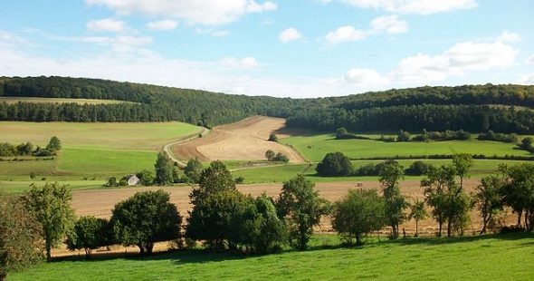 campings HAUTE MARNE