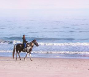 Balade à cheval sur la plage